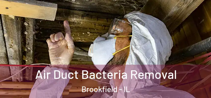  Air Duct Bacteria Removal Brookfield - IL