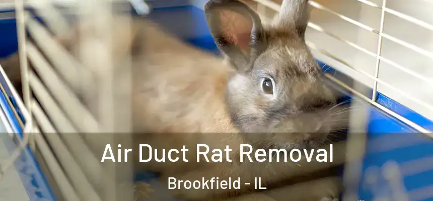Air Duct Rat Removal Brookfield - IL