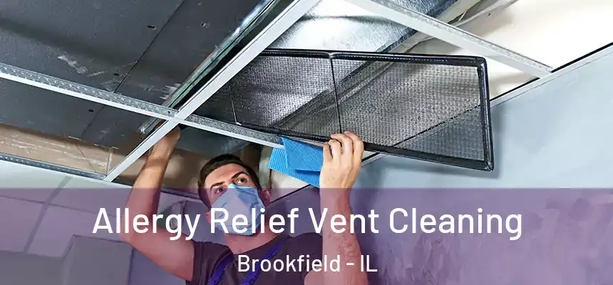 Allergy Relief Vent Cleaning Brookfield - IL
