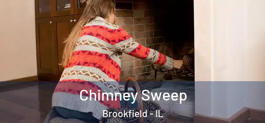  Chimney Sweep Brookfield - IL