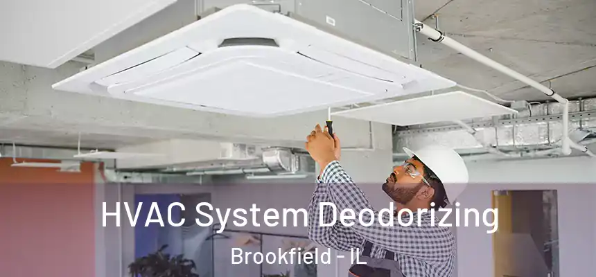  HVAC System Deodorizing Brookfield - IL