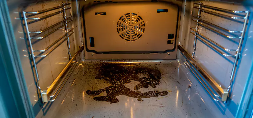 Our Dryer Vent Mold Cleaning Services in Brookfield, IL