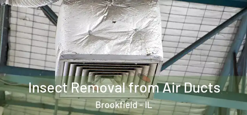  Insect Removal from Air Ducts Brookfield - IL