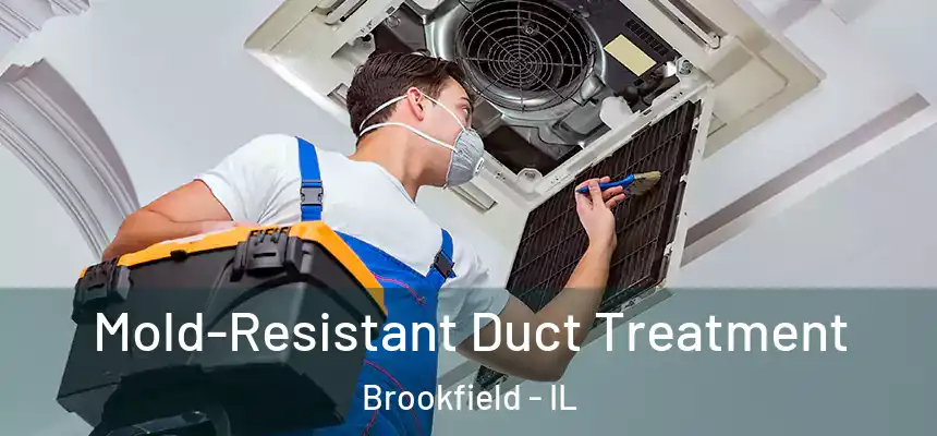  Mold-Resistant Duct Treatment Brookfield - IL