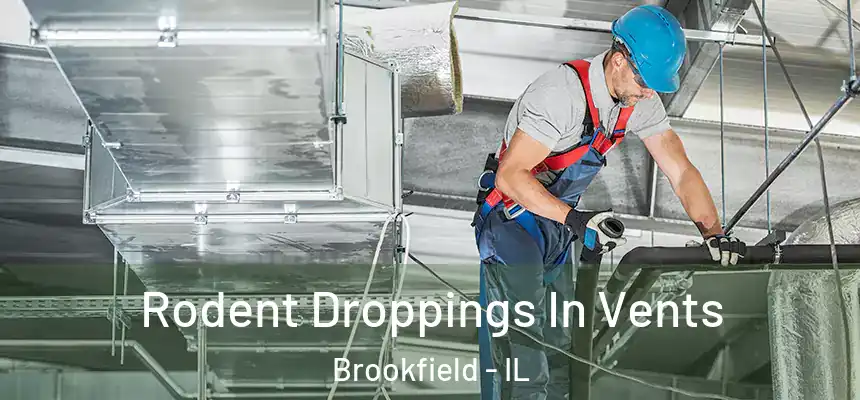 Rodent Droppings In Vents Brookfield - IL