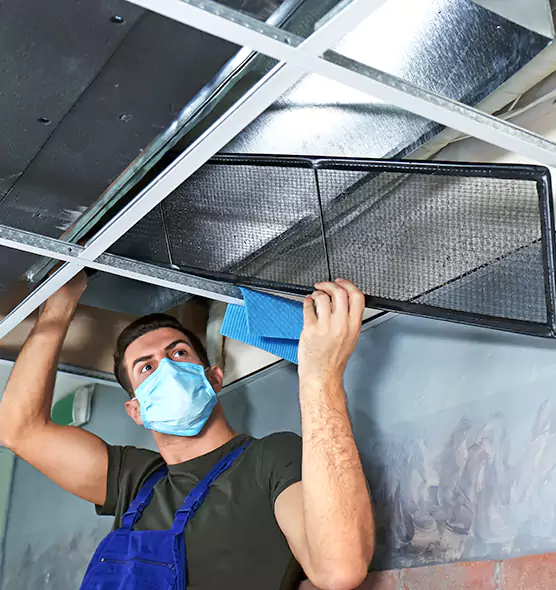 Professional Air Duct Pollen Cleaning in Brookfield, IL