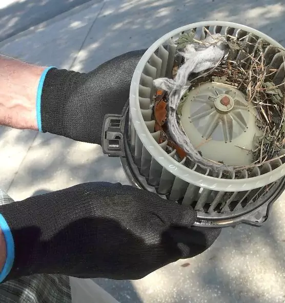 About Air Duct Rat Removal in Brookfield, IL