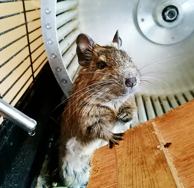 Why Homeowners & Businesses Trust Us Brookfield, IL?