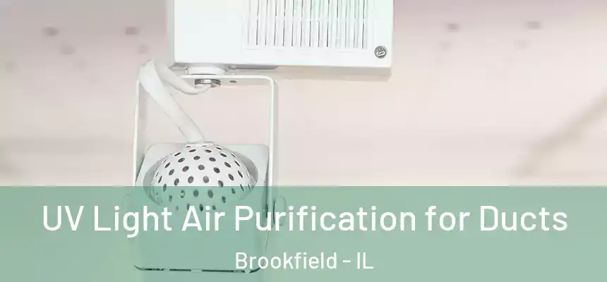  UV Light Air Purification for Ducts Brookfield - IL